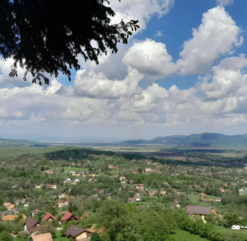 Valea Branului sub cerul de vară